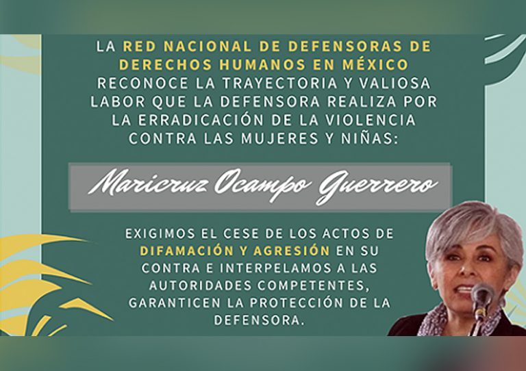 Demanda “Red de Mujeres” protección para activista en Querétaro